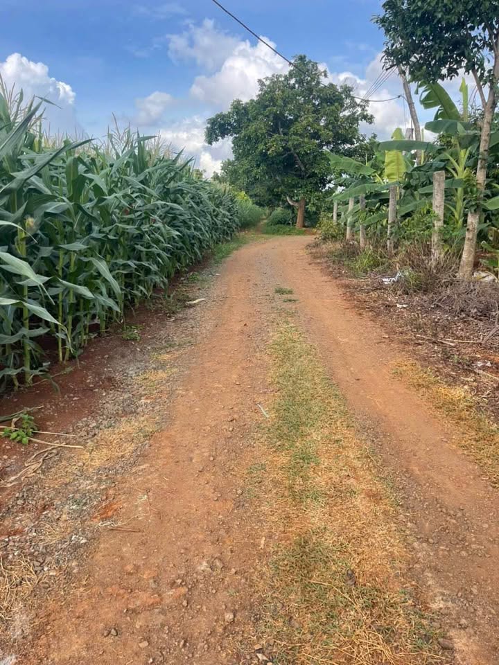 Đất nền Buôn Ma Thuột 600m² giá 1.090 triệu - Góc 2 mặt tiền, pháp lý rõ ràng!