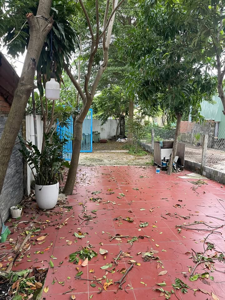 Nhà nguyên căn cho thuê tại kiệt ô tô Bình Kỳ, Hoà Quý, 220m² - Giá chỉ 6 triệu/tháng!