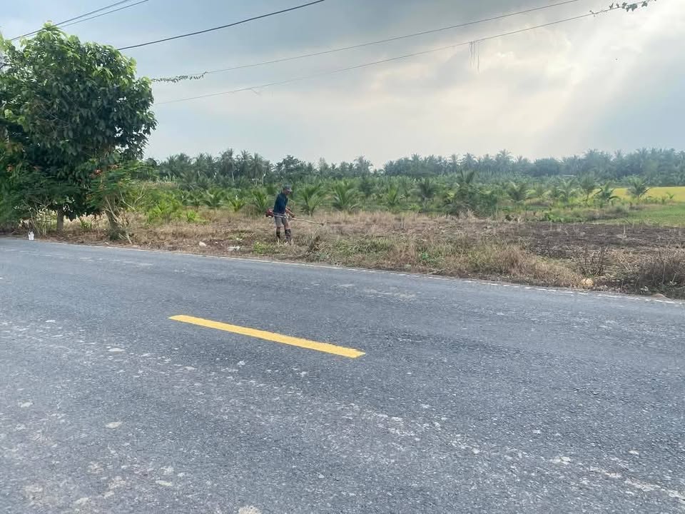 Đất nền ấp Đại Mong, xã Phú Cần 946m² giá 125 triệu - Sổ hồng chính chủ