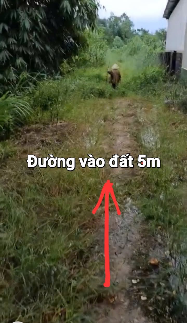 Đất nông nghiệp 7389m² tại khu Thanh Bình, Phú Thọ giá chỉ 8 tỷ - Cơ hội đầu tư hoàn hảo!