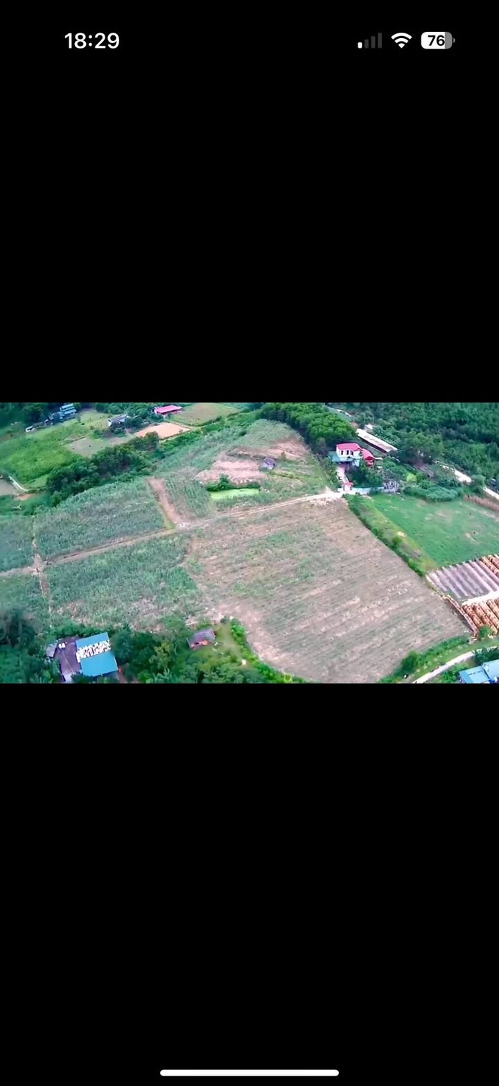 Đất Farm An Bình 24.000m² giá 6 tỷ - Đầu tư sinh lời cao!