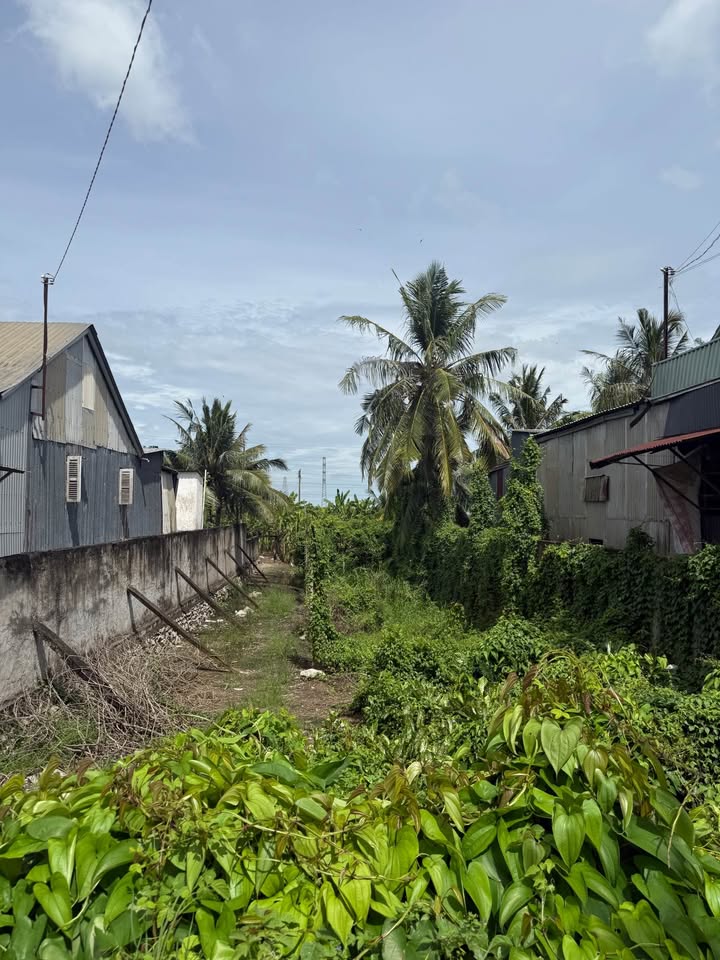 Đất nền mặt tiền đường Kênh Đào, Vĩnh Mỹ, Châu Đốc 539m² giá 2.8 tỷ - Vị trí đắc địa cho đầu tư