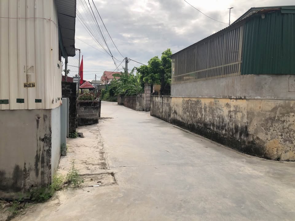 Đất đẹp Làng Dừa Văn Tố Tứ Kỳ 85m² giá 700 triệu - Cơ hội đầu tư tuyệt vời!