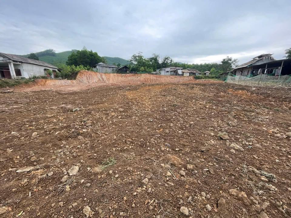 Đất nền Ngọc Đồng, Yên Lập 2000m² giá chỉ 1.6 tỷ - Cơ hội đầu tư hiếm có!