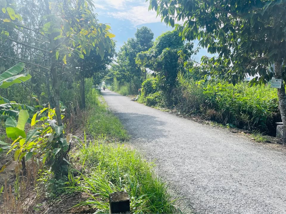 Đất nền chính chủ tại An Thành - Phú Đức 277m² giá chỉ 1.4 tỷ - Cơ hội đầu tư hấp dẫn!