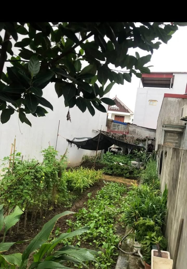 Đất nền Kiến An 76m² giá 2.9 tỷ - Kinh doanh thuận lợi, gần trường nghề!