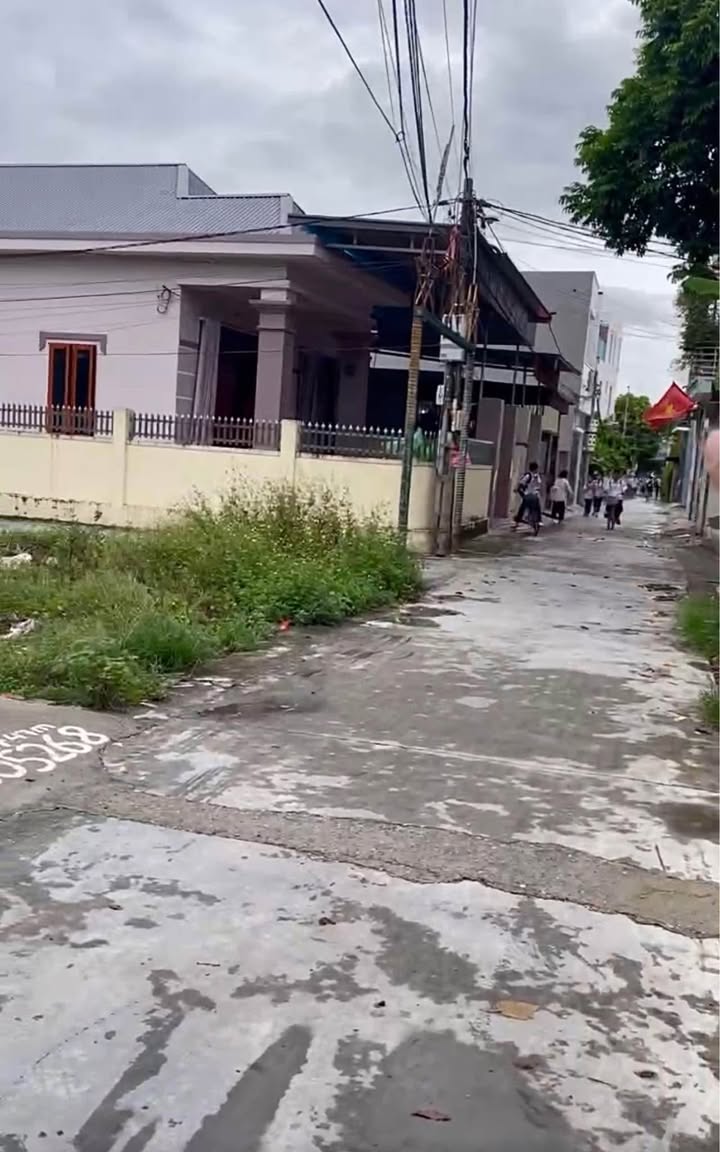 Đất mặt tiền Tân Tiến, An Dương 50m² giá 1.35 tỷ - Kinh doanh sầm uất!