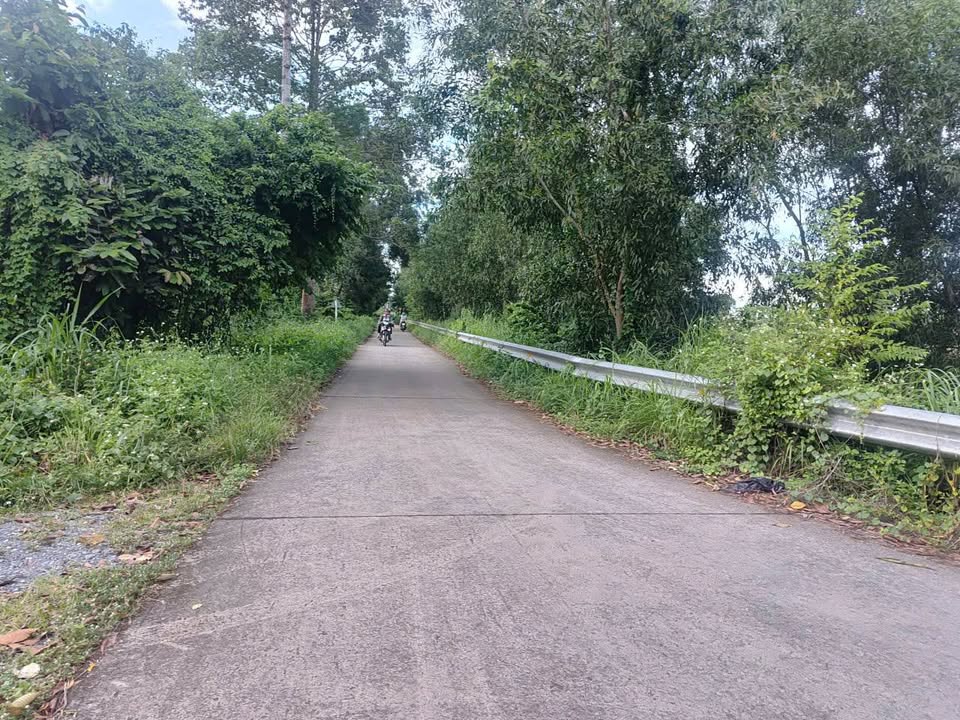 Đất nền Củ Chi 10.338m² giá 28 tỷ - Đầu tư sinh lời ngay!