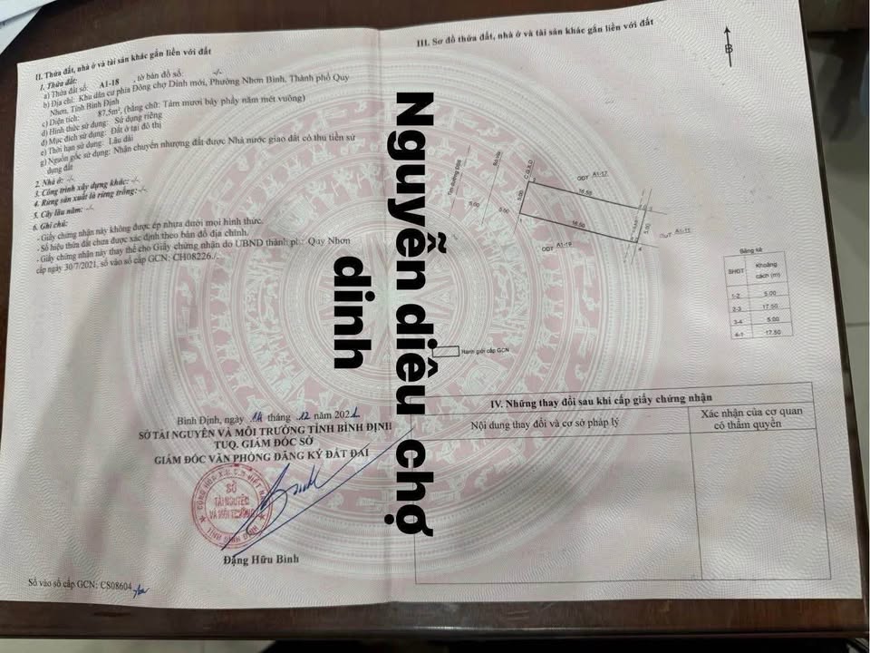 Đất nền Nguyễn Diêu, Quy Nhơn 87.5m² giá 3.15 tỷ - Vị trí đắc địa kinh doanh!