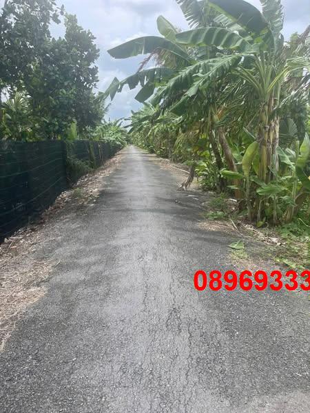 Đất nền Phường Mỹ Phước Tây, TX. Cai Lậy 1400m² giá 4.76 tỷ - Sổ đỏ chính chủ, thương lượng ngay!