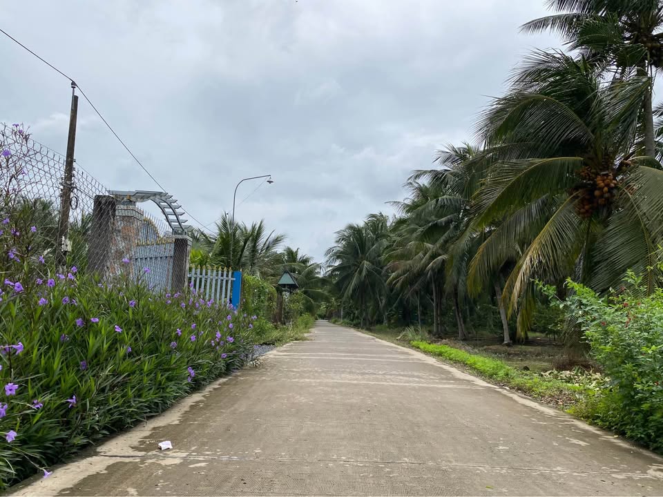 Đất nền Hòa Định, Chợ Gạo, Tiền Giang 134m² giá 395 triệu - Sổ đỏ chính chủ sang tên ngay!