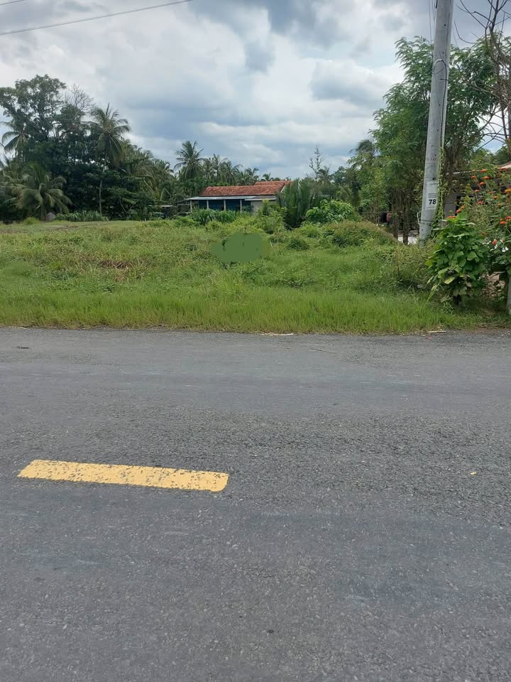 Đất Mặt Tiền Tỉnh Lộ 864, Bình Ninh, 250m² giá 900 triệu - Đầu tư sinh lời ngay!