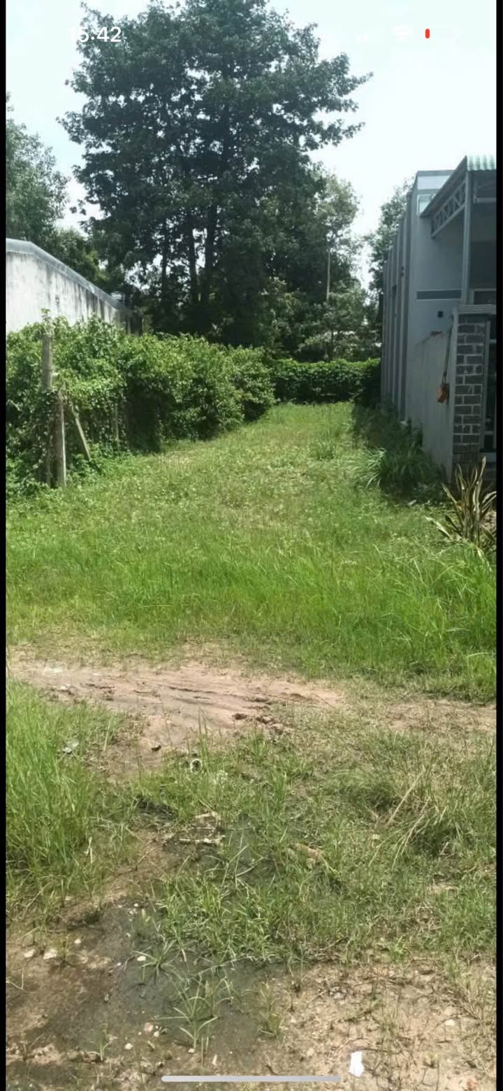 Đất nền Trần Phú, Hòa Thành, Tây Ninh 142.5m² - Giá chỉ 2.275 tỷ, cơ hội đầu tư tuyệt vời!