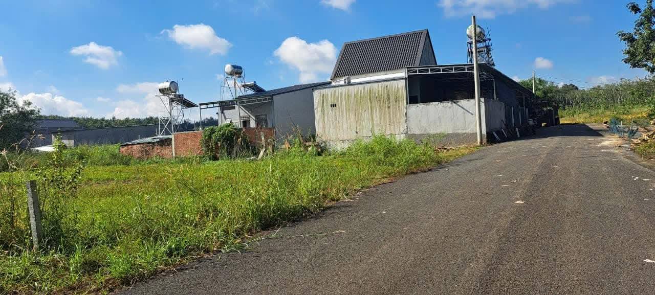 Đất thổ cư 100m² tại KP3, Minh Thành - Giá chỉ 1.1 tỷ!