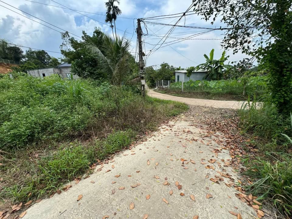 Đất nền Bất Bạt - 444m² chỉ 1 tỷ - Sổ đỏ, ô tô đỗ cửa!