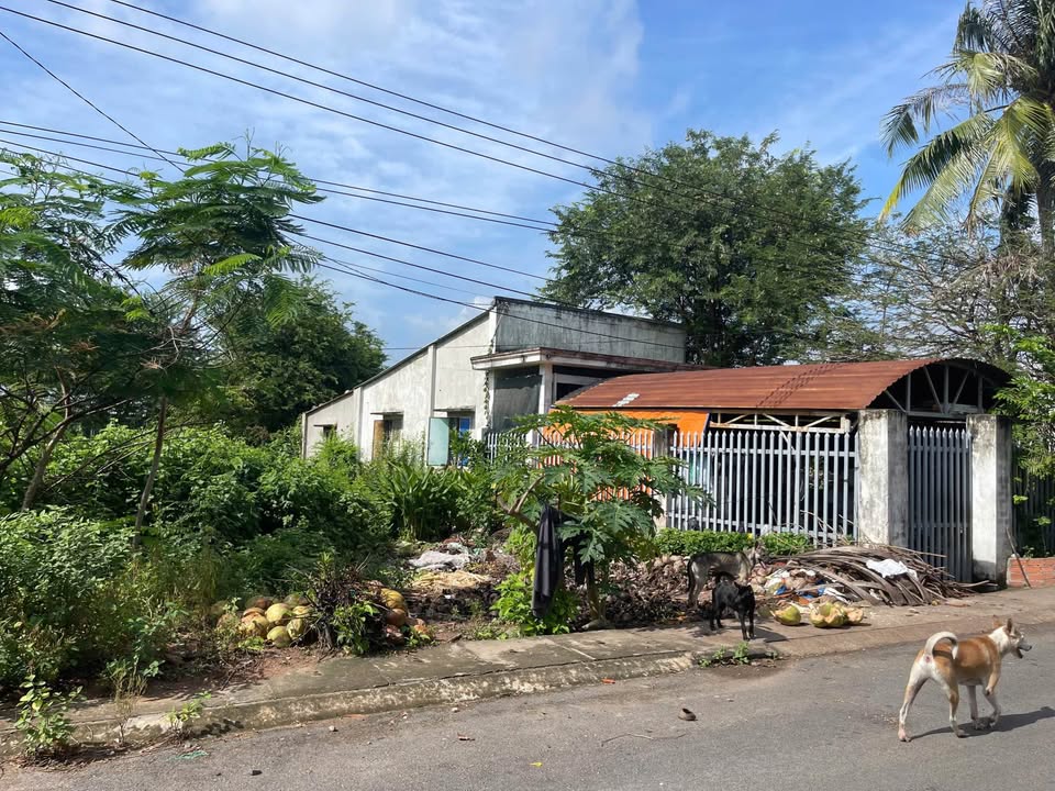 Đất nền xã Tam An - Long Điền 170m² giá 1.8 tỷ - Đầu tư sinh lời tốt!