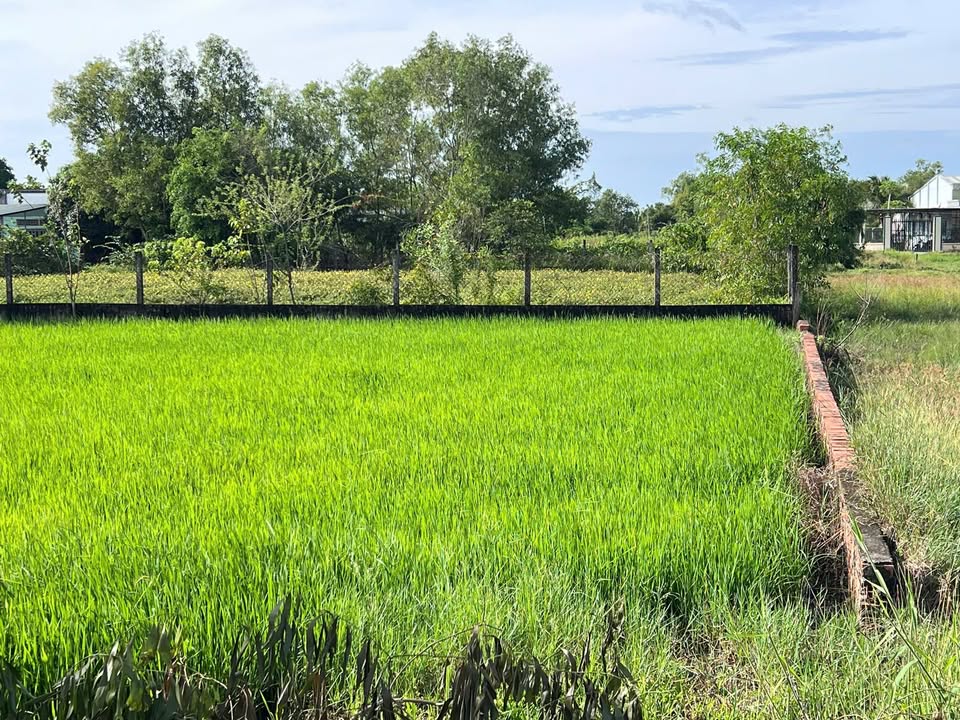 Đất thổ cư mặt tiền đường Đá Xanh 294m² giá 2.2 tỷ - Cơ hội đầu tư sinh lời!