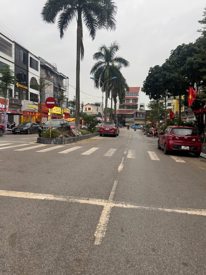 Liền kề Tân Tây Đô Đan Phượng 95m² - Mặt tiền 5m, Kinh doanh đắt giá!