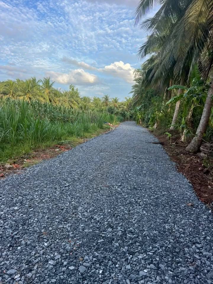 Đất nền Châu Hưng, Bến Tre 125m² giá 300 triệu - Sổ đỏ chính chủ