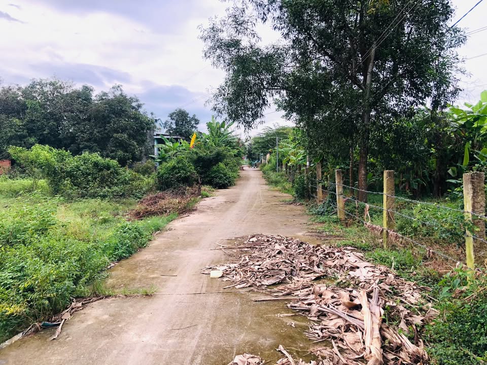 Đất Thổ Cư Tại Tân Hà, Hàm Tân 1075m² giá chỉ 1.1 tỷ - Đầu tư sinh lợi ngay hôm nay!