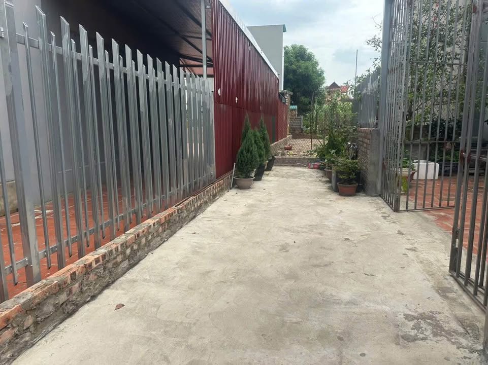 Đất thổ cư 60m² tại Bắc Hồng, Đông Anh - Giá chỉ 3 tỷ, cơ hội hiếm có!