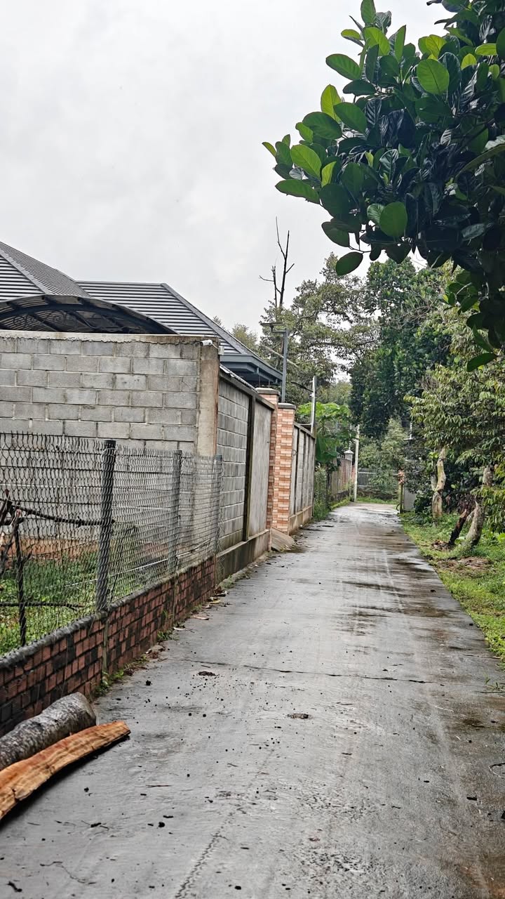 Bán đất Long Khánh 100m² giá 790 triệu - Sổ đỏ chính chủ, hỗ trợ vay ngân hàng!