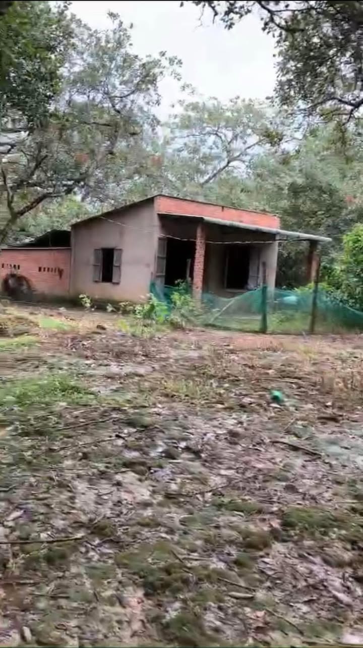 Bán gấp Farm Phú Trung, Phú Riềng 1,4ha giá chỉ 1,3 tỷ - Đất đẹp, sẵn nhà và tiện ích!