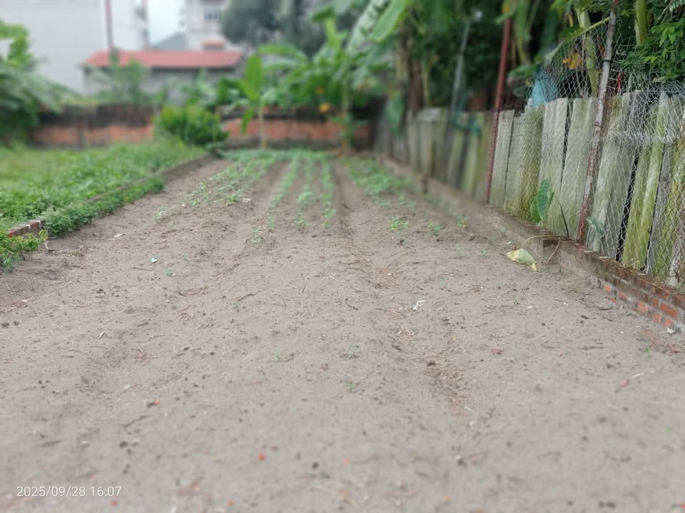 Đất nền Xuân Nộn 95.5m² giá 6.6 tỷ - Tiềm năng đầu tư sinh lời