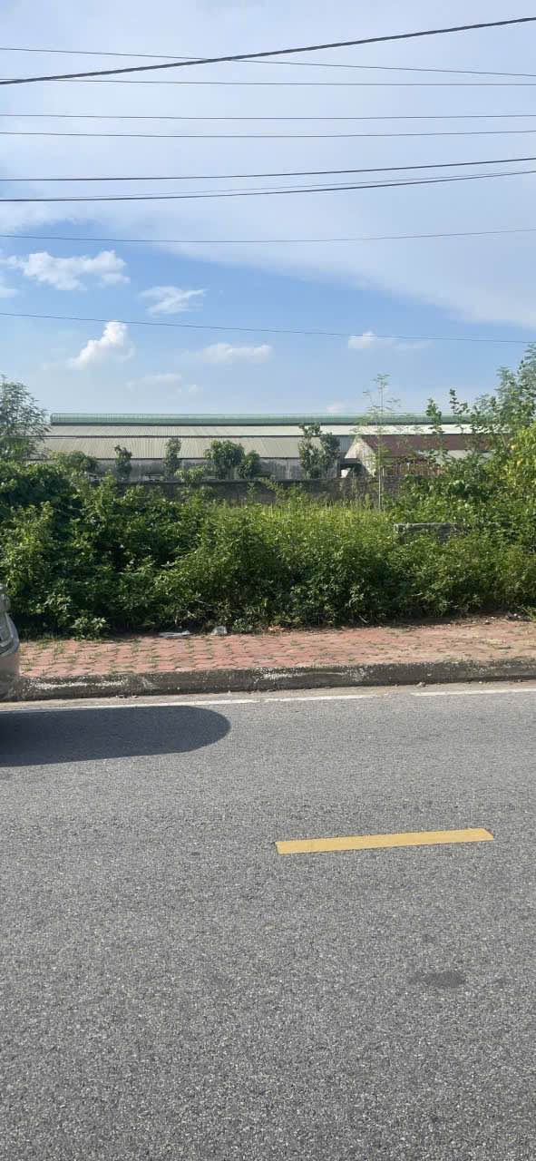 Mảnh đất mặt phố kinh doanh Hòa Bình 228m² giá thỏa thuận - Đầu tư sinh lời ngay!