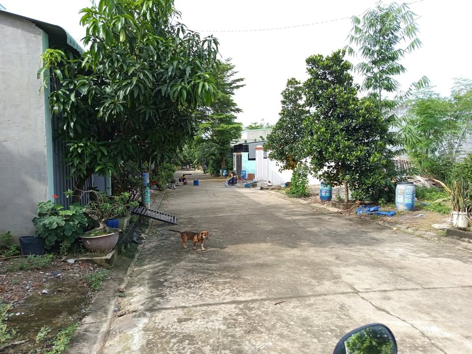 Đất nền Tân Định, Bến Cát 100m² giá 1.1 tỷ - Sổ đỏ chính chủ, hỗ trợ vay ngân hàng!