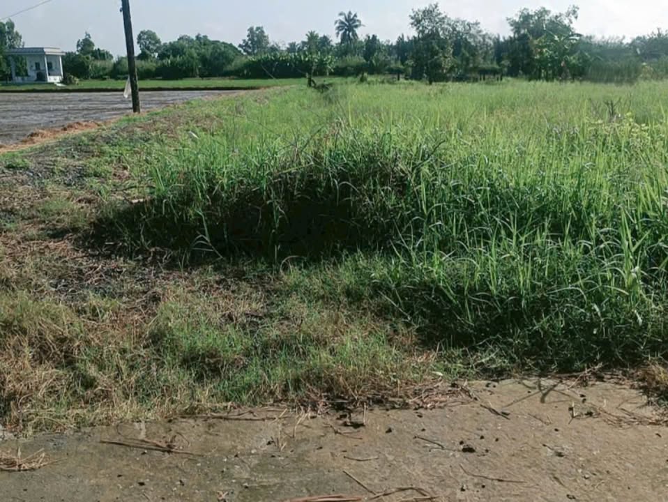 Đất thổ cư Tân Trụ 833,4m² giá 350 triệu - Vị trí thuận lợi gần khu công nghiệp!