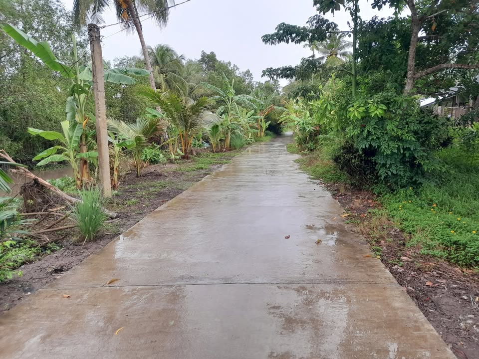 Nhà cấp 4 170m² tại ấp Ô Tưng B, Cầu Kè, Trà Vinh - Chính chủ, giá 400 triệu!