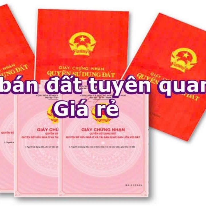 Đất thổ cư 168m² tại Hưng Thành, Tuyên Quang - Giá chỉ 1.9 tỷ!