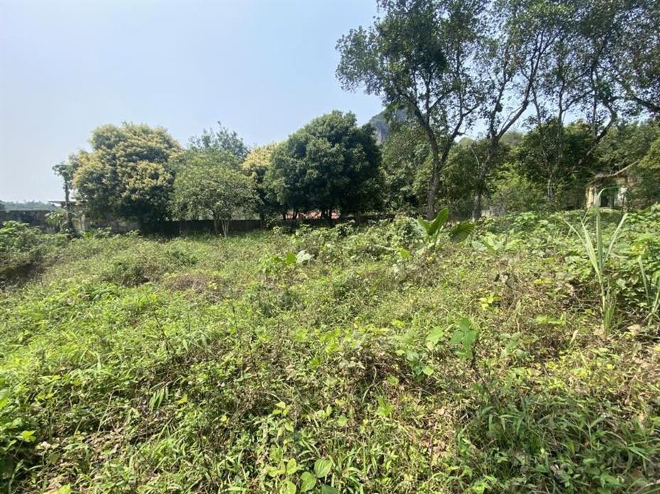 Đất vườn TK3 Lương Sơn 1560m² - Phong thủy tốt, giá thương lượng!