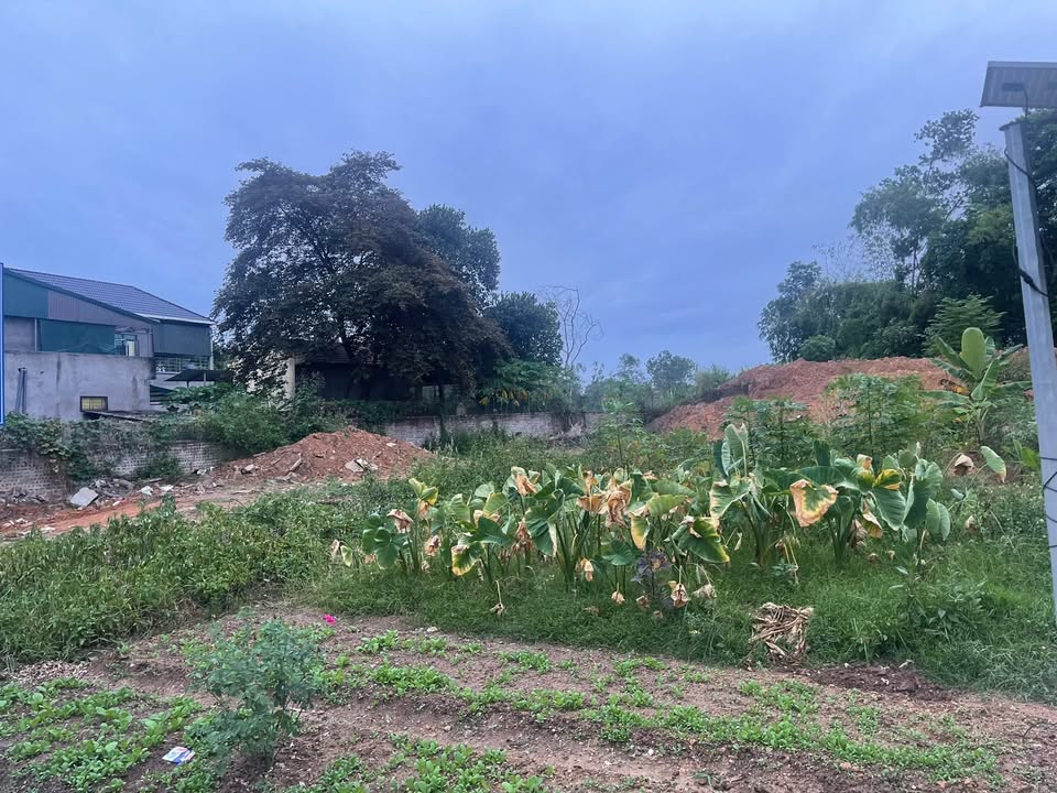 Đất mặt tiền Tỉnh Lộ 318 Phường Âu Cơ 222m² giá 2 tỷ - Tiềm năng kinh doanh cao!