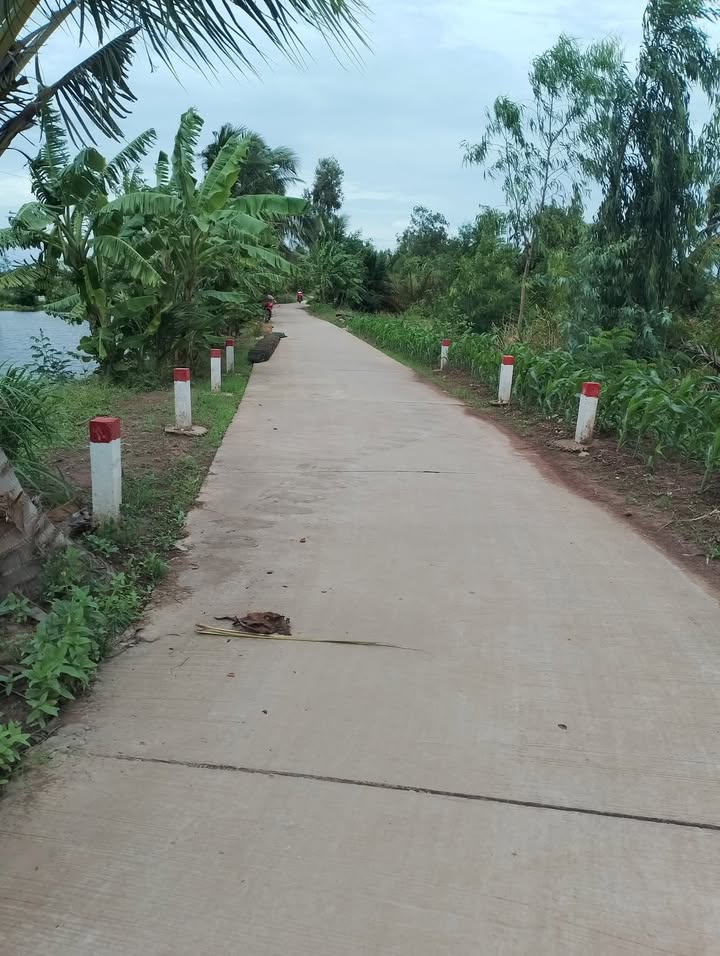 Đất 3 mặt tiền 1000m² tại ấp Long Hòa, Cần Thơ - Cơ hội đầu tư tuyệt vời!