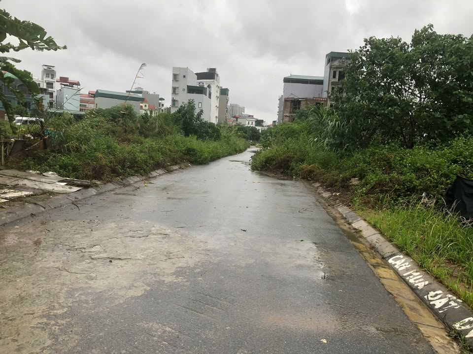 Bán đất dịch vụ Thăng Long 9, Kim Chung, Hoài Đức 138m² - Giá đầu tư cực tốt!