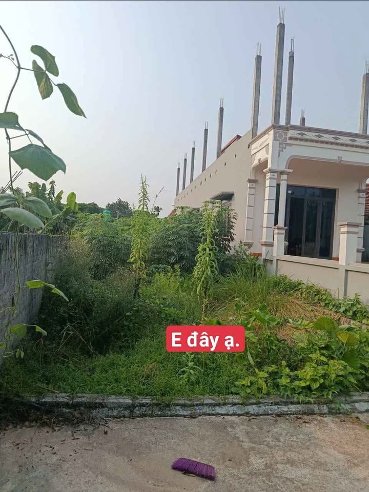 Bán đất thổ cư Phú Thịnh Kim Động 148m² chỉ 1 tỷ - Cơ hội đầu tư sinh lời cao!