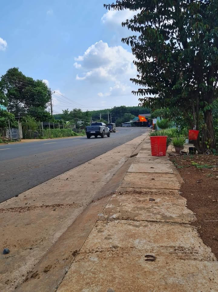 Đất nền Hưng Phước 700m² giá 1.6 tỷ - Cơ hội đầu tư tuyệt vời!