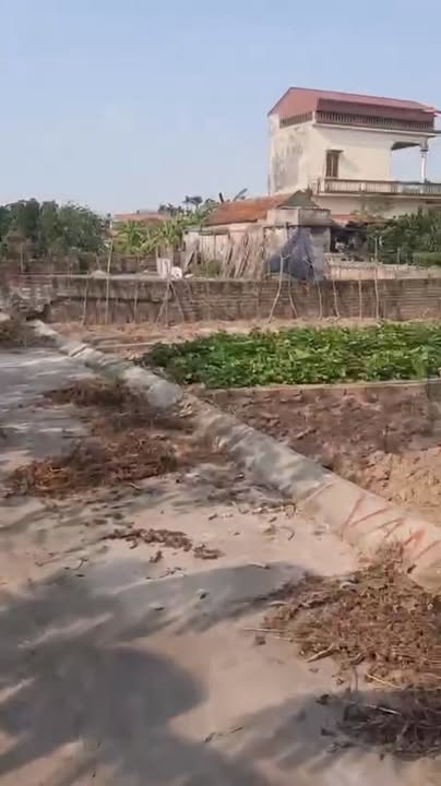 Đất nền Bạch Hạ, Phú Xuyên 69m² giá chỉ 1.33 tỷ - Cơ hội đầu tư tuyệt vời!