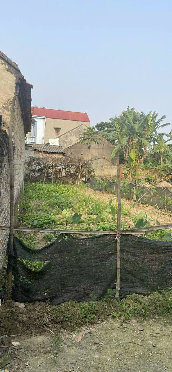 Đất thổ cư Hiệp Hòa Bắc Giang 120m² giá tốt chỉ 5xx triệu - Cần bán gấp!