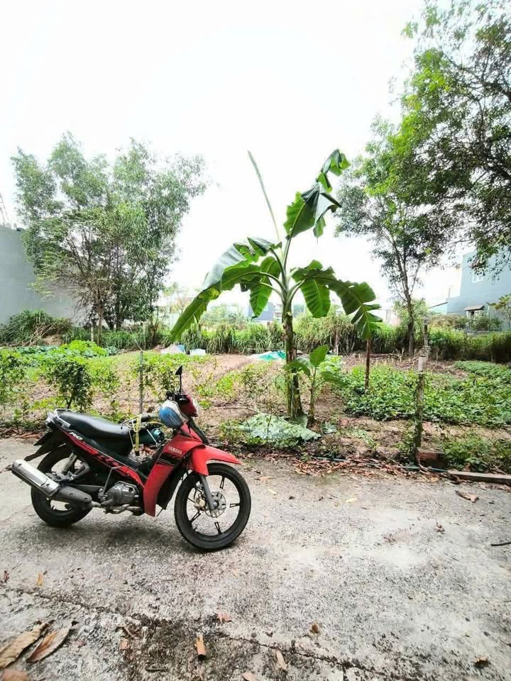 Đất nền Trảng Dài 44m² giá chỉ 199 triệu - Cơ hội đầu tư tuyệt vời!