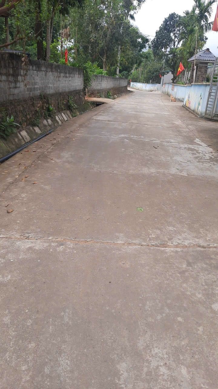 Đất nền Yên Mông, Hòa Bình 150m² giá chỉ 600 triệu - Đường bê tông ô tô tránh nhau!