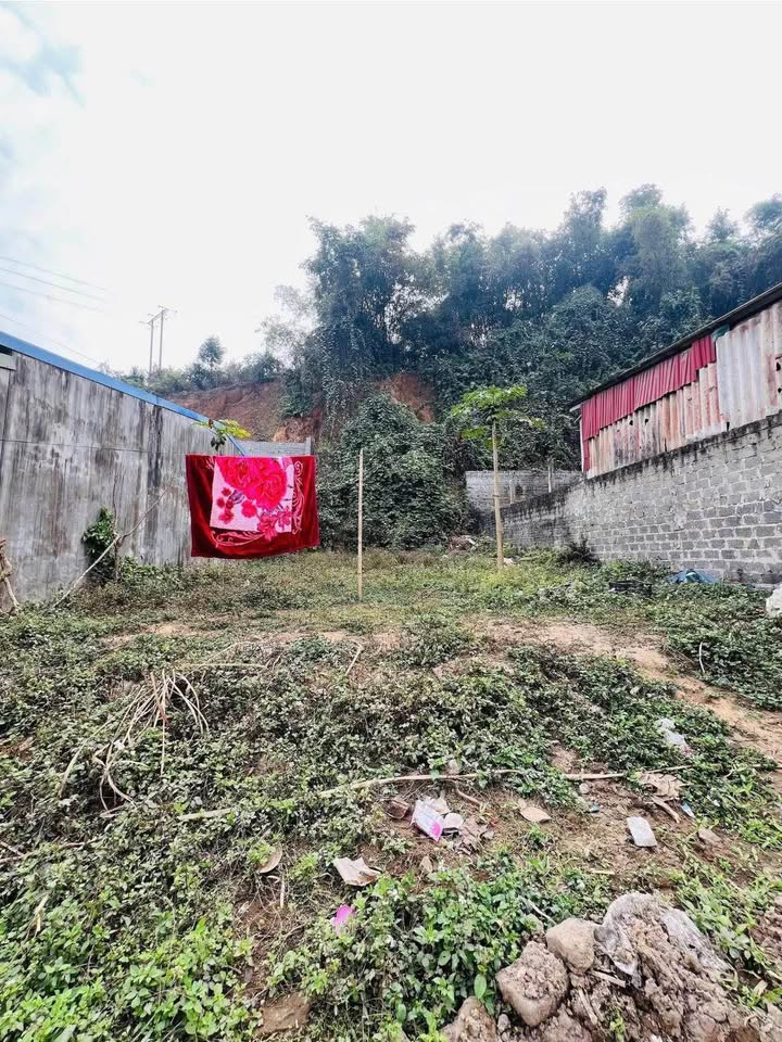 Đất thổ cư đường Lê Đại Hành, Thái Bình 327m² - Giá chỉ 2.5 tỷ, cơ hội đầu tư tuyệt vời!