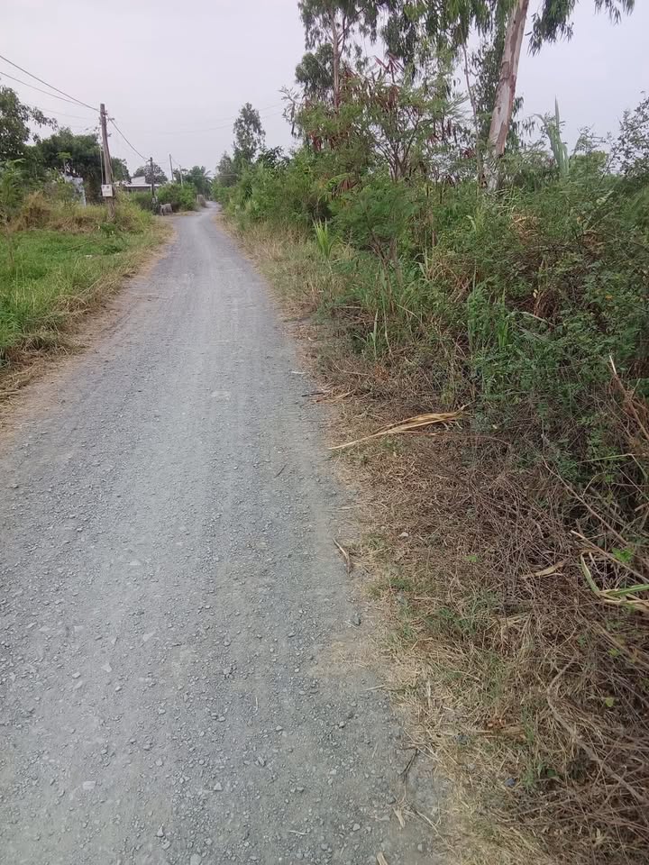 Đất nền 2 mặt tiền Chùa Đất Đỏ, Tân Đông, Gò Công Đông, 1872m² - Giá tốt đầu tư!