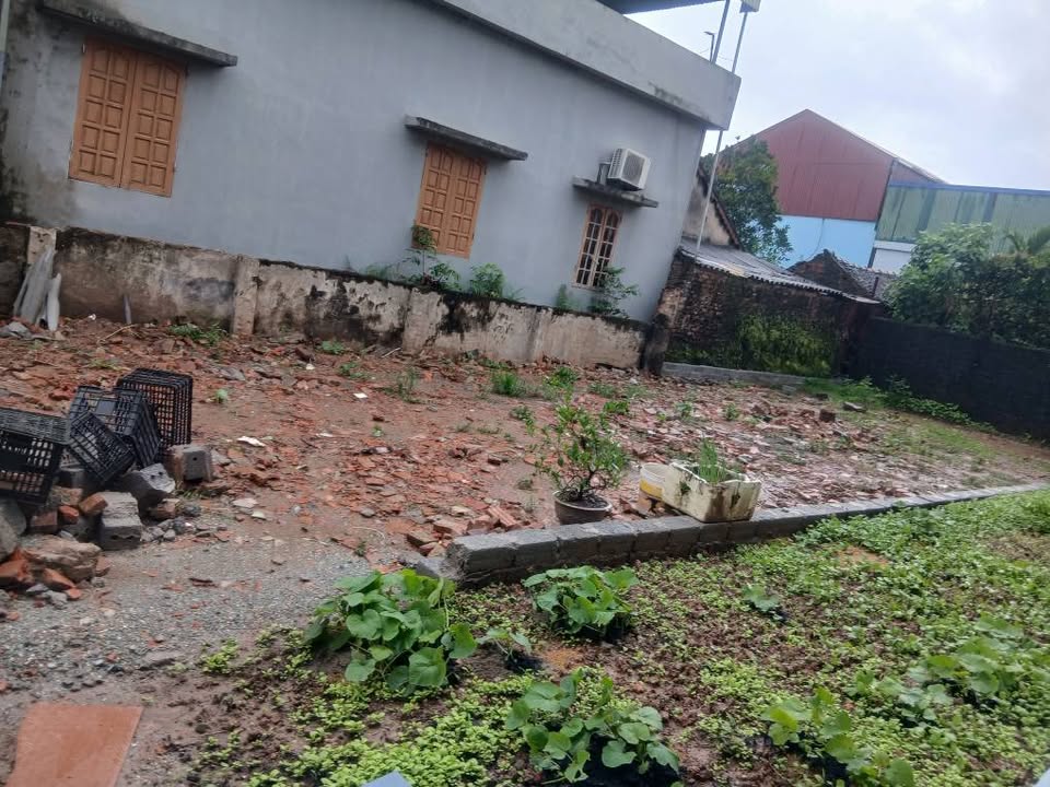 Đất nền Kinh Đào, An Mỹ, Mỹ Đức 137m² giá 3 tỷ - Ô tô vào tận đất!