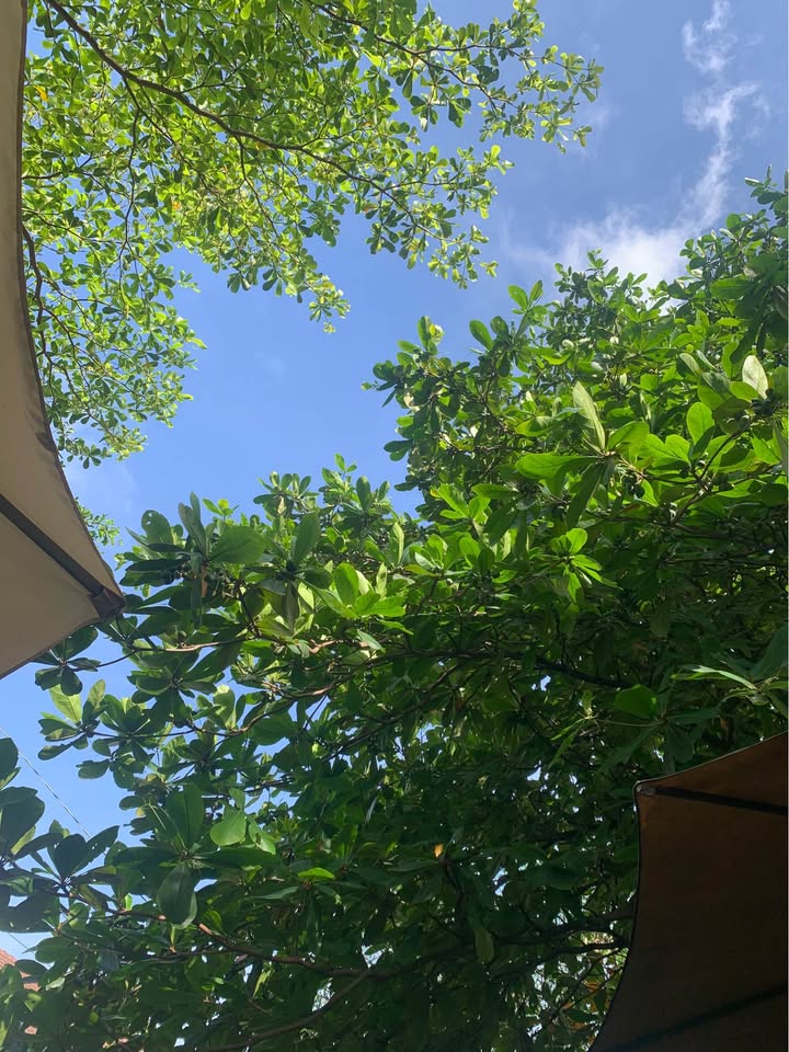 Nhà mặt tiền Tống Văn Hên, Tân Bình 50m² giá 3.99 tỷ - Gần ga T3 chỉ 5 phút!