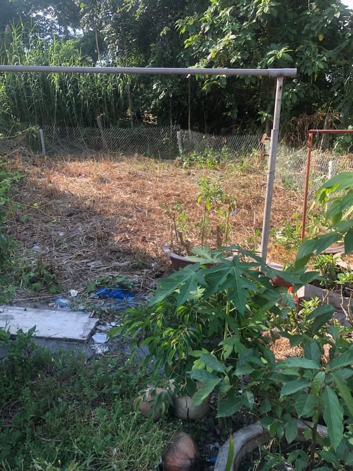 Đất nền đường Phạm Phú Thứ, xã Bình Khánh, 63m² - Giá chỉ 850 triệu, thương lượng!