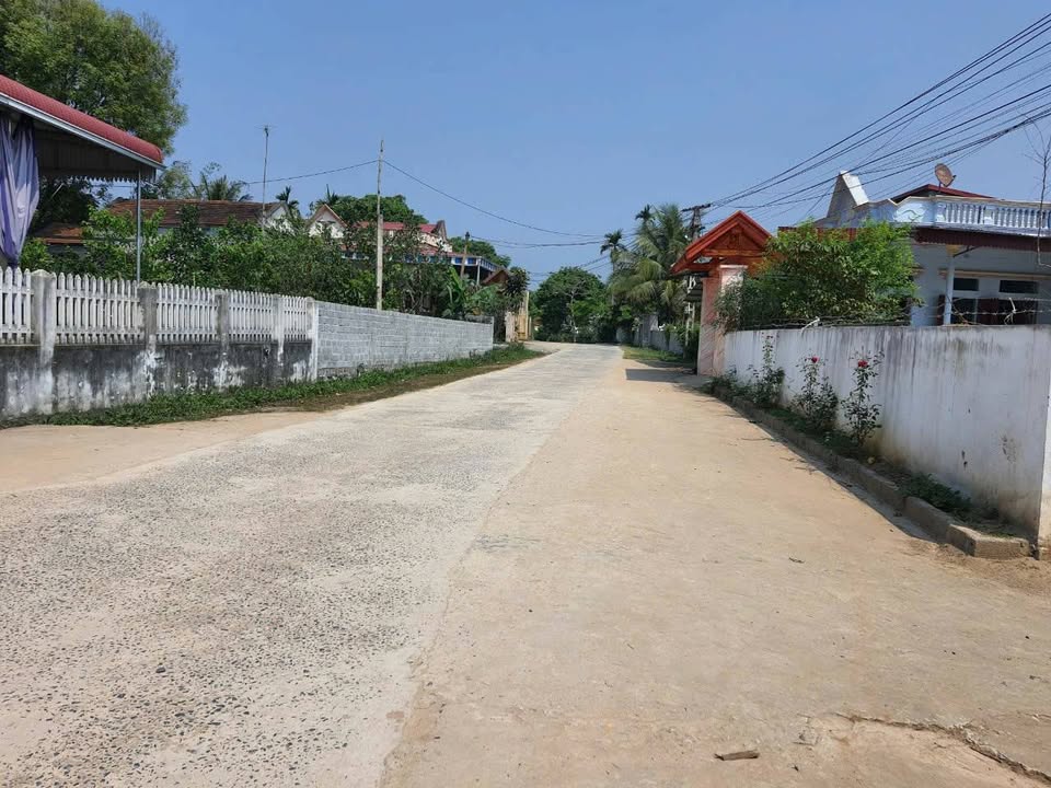 Đất nền chính chủ tại xã Cao Thịnh, huyện Ngọc Lặc, 116m² - Giá chỉ 450 triệu!