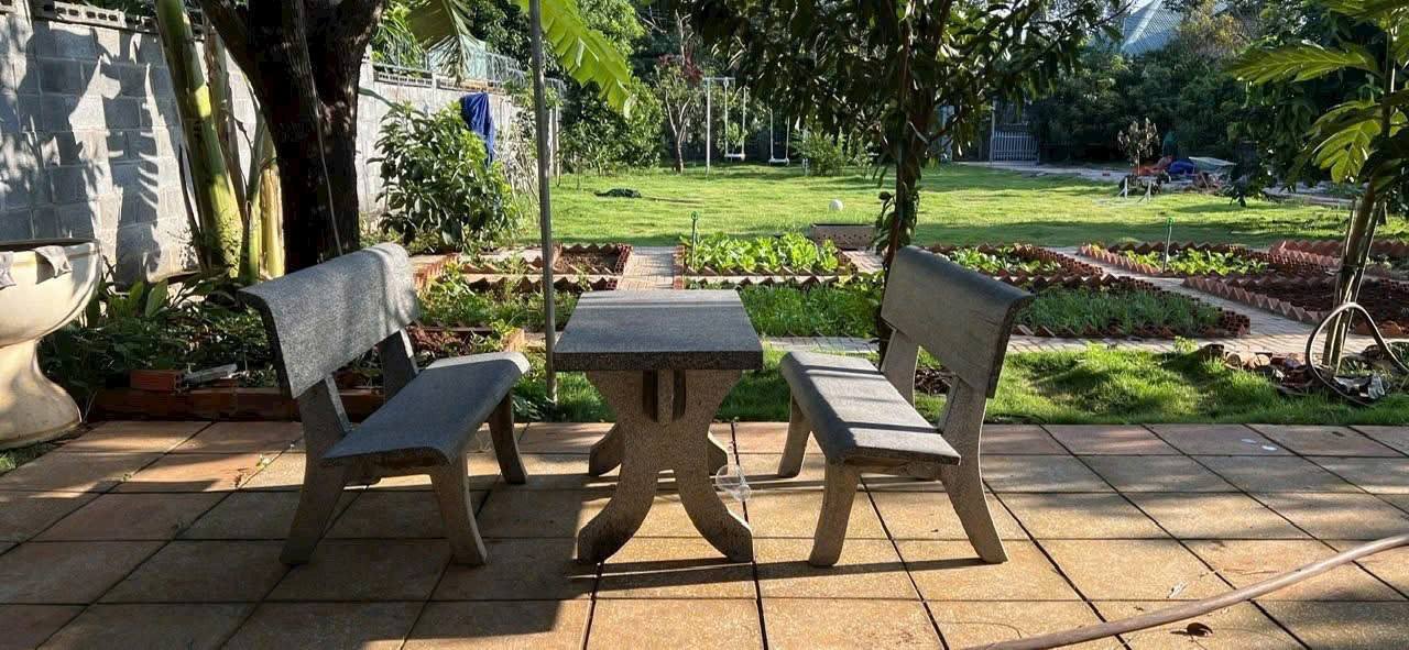 Đất vườn Long Phước 1000m² giá 4.2 tỷ - Sổ hồng chính chủ, cây ăn trái đầy đủ!